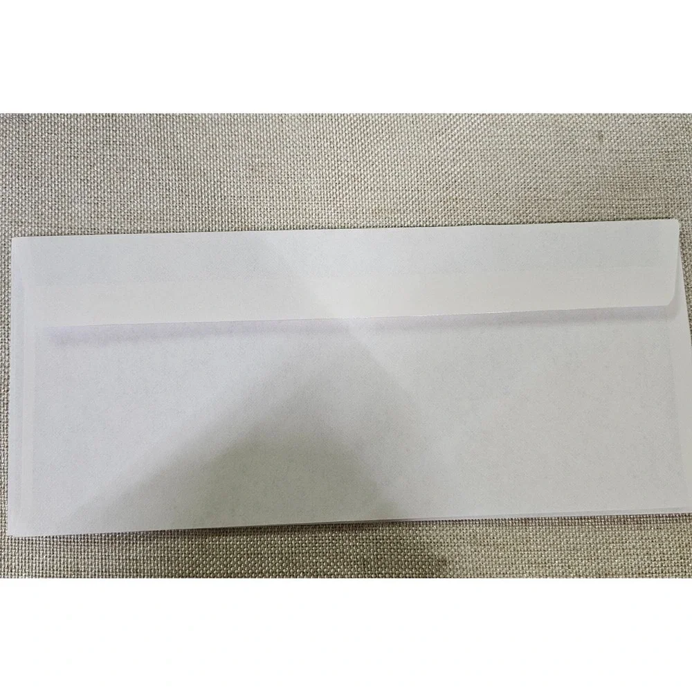 500 Double Window Envelopes #10 White Blue Security Tint CE05B Business